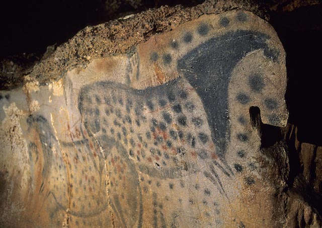 Panneau des chevaux ponctués cl. Centre de préhistoire du Pech Merle