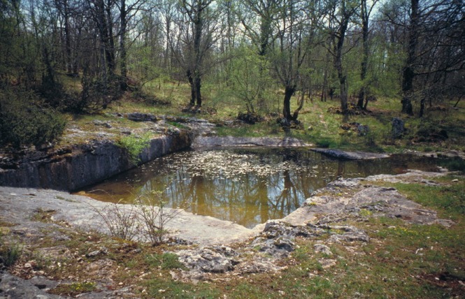 Un des lacs de St-Namphaise de la forêt de la Braunhie cl. parc naturel des Causses du Quercy