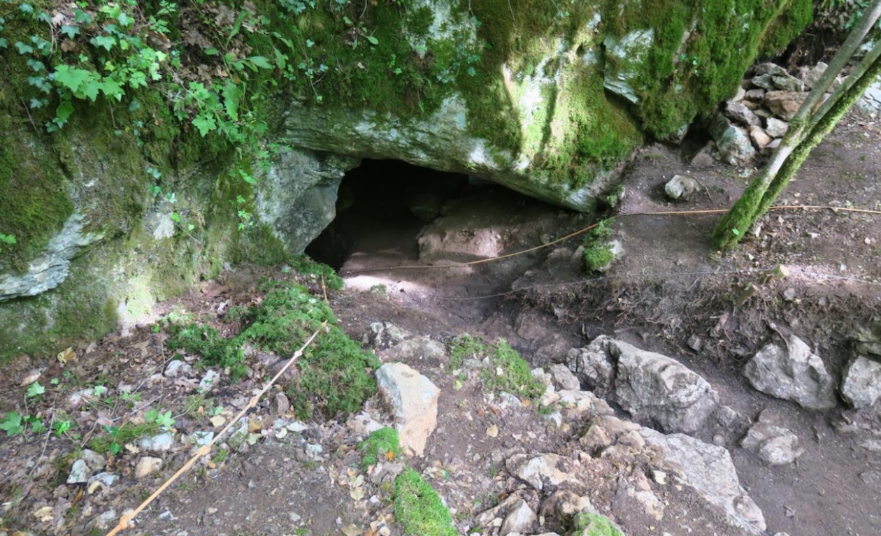grotte des jonquilles archéologies