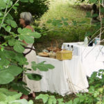jardin-des-saveurs-villeneuve-sur-tarn-sylvie-campech-les-causeries-culinaires-plantes-aromatiques-2