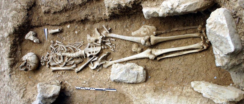 Tabariane tabariane 2