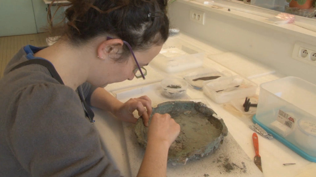 Materia Viva 2012 1024x576