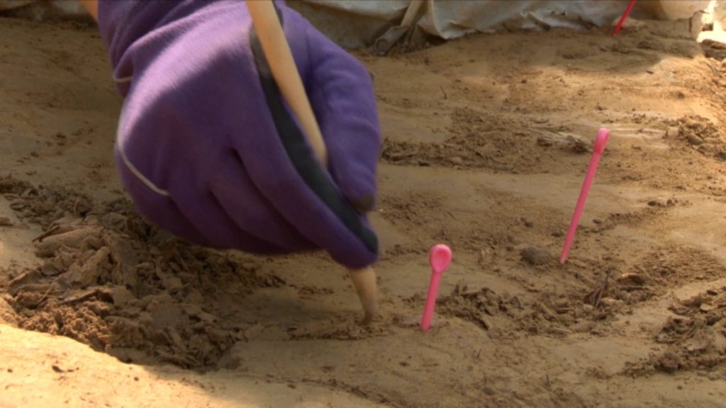 Peyreblanque Peyreblanque 2015 1024x576