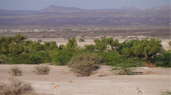 Les premiers éleveurs de la Corne de l’Afrique