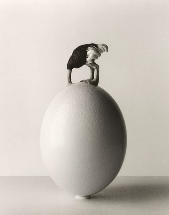 2018—exposition photos chema madoz