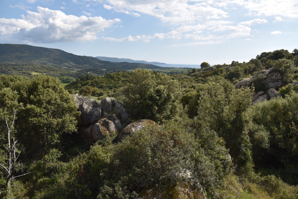 Voyage en Corse du Sud Basi Panorama 1024x683