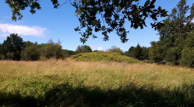 A la découverte du Pays clémentin