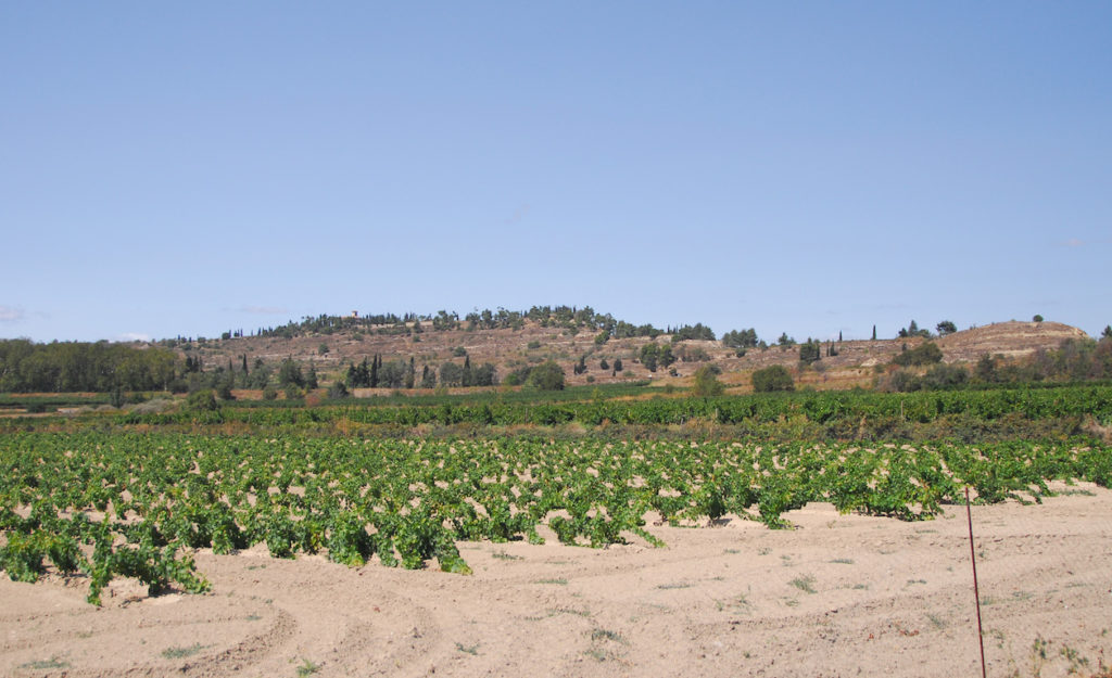 Ensérune2 1024x625