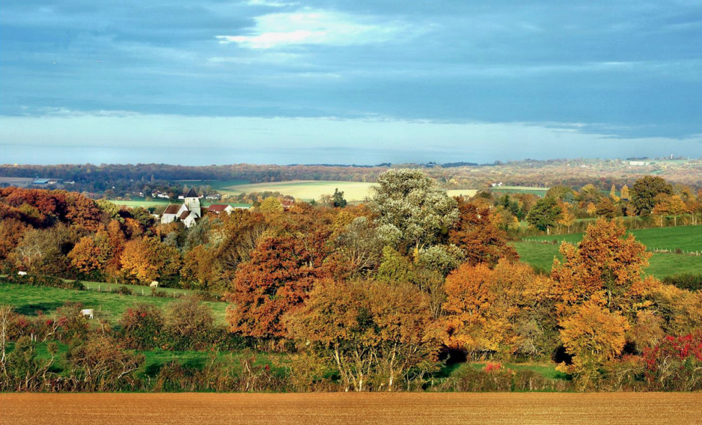 Richesses minérales de la Puisaye, sources de son patrimoine Paysage Puisaye 1260 X 764 1024x621