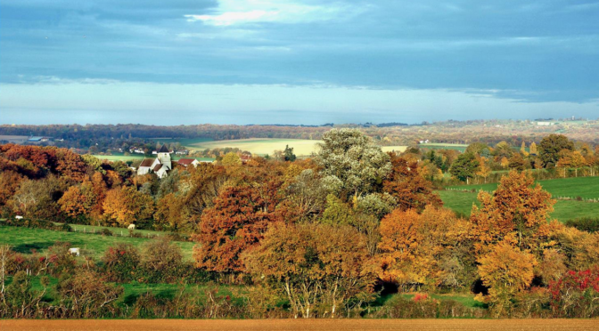 Voyage d’automne en Puisaye