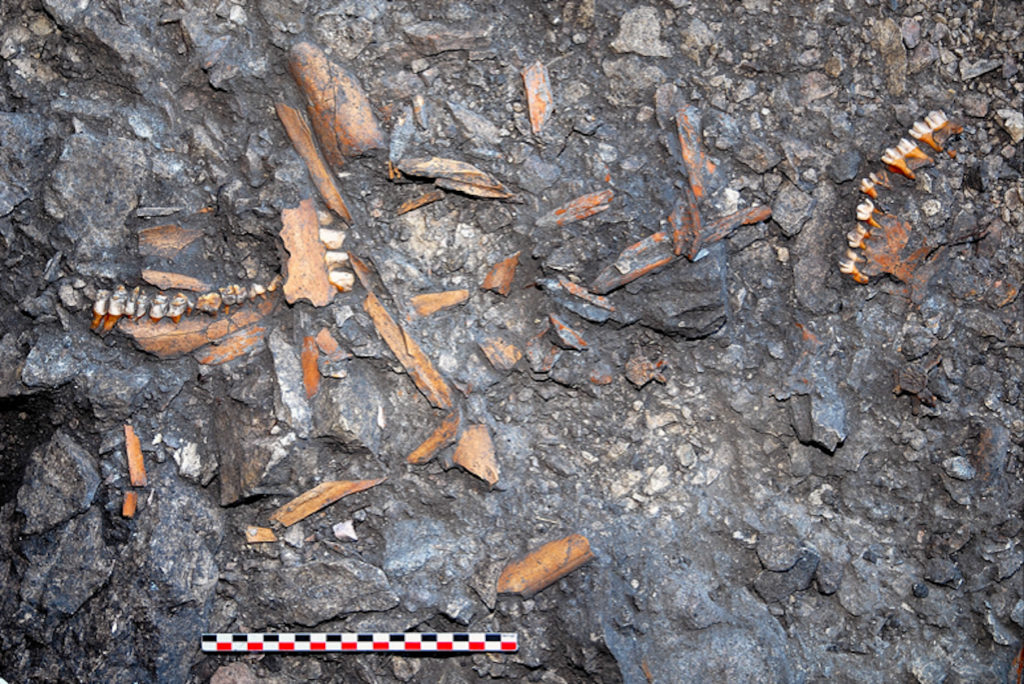 Méso Montagnard Louise Derbord 1024x684