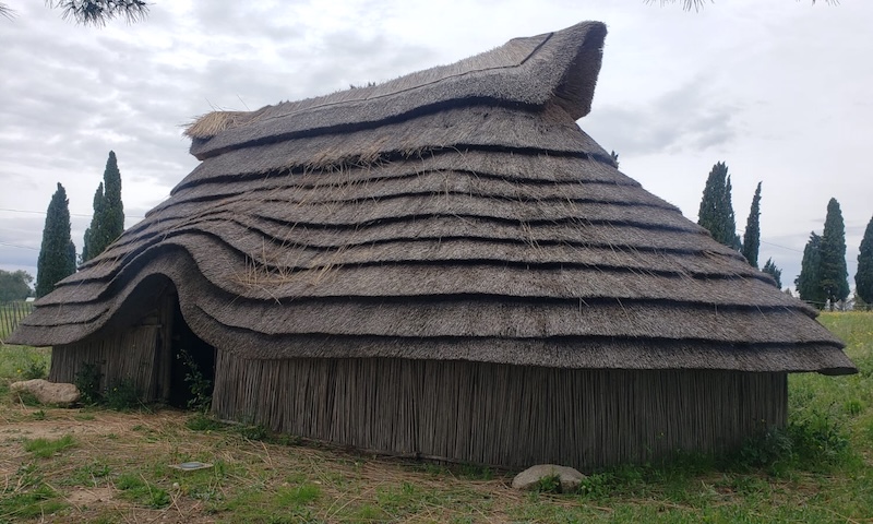 ruscino, restitution habitat