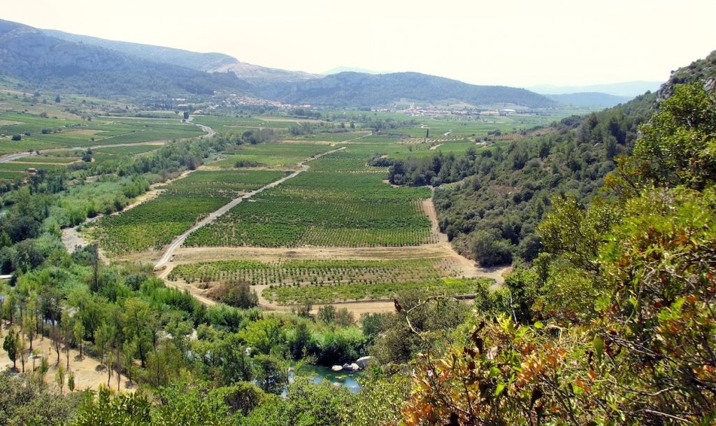 vallée du verdouble