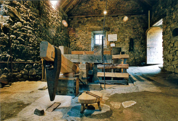 le martinet de la ramonde