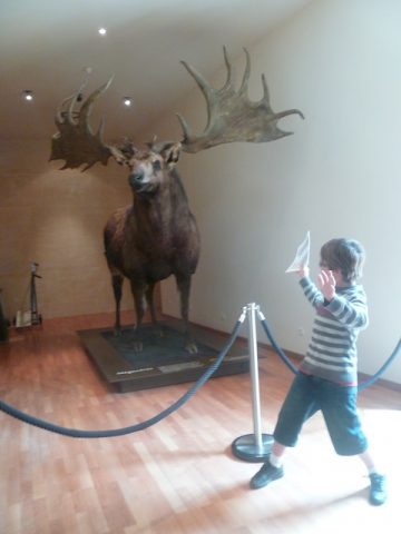 florian et le mégacéros